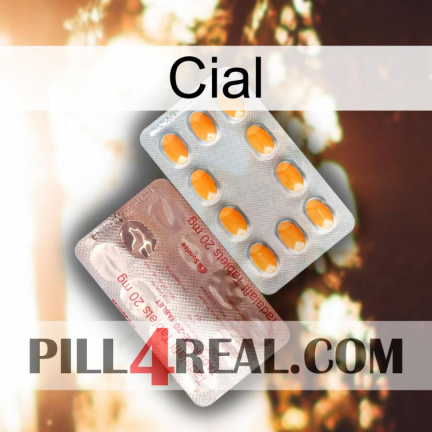 Cial new13